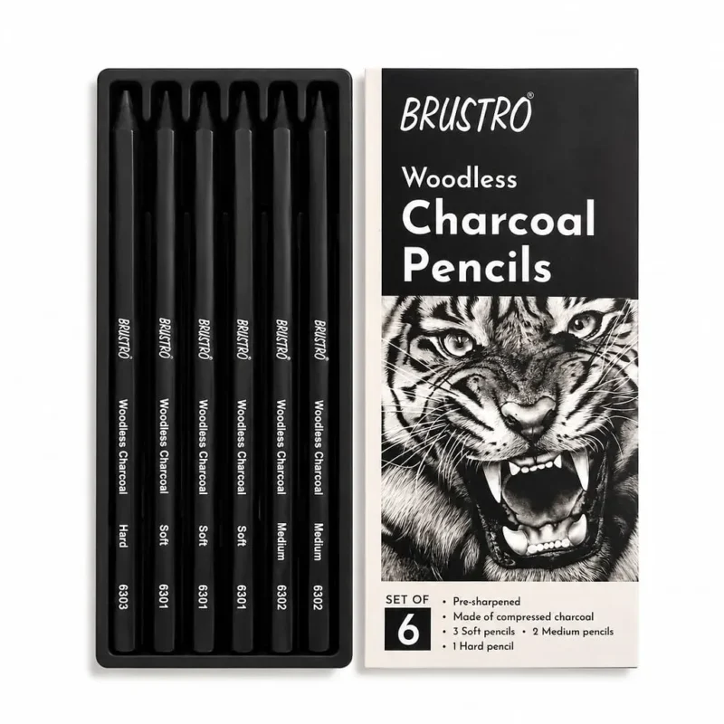 Brustro Woodless Charcoal Pencil