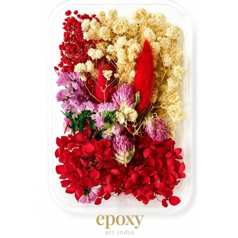 Red & White Dried Flower Box for Resin Art & DIY Crafts