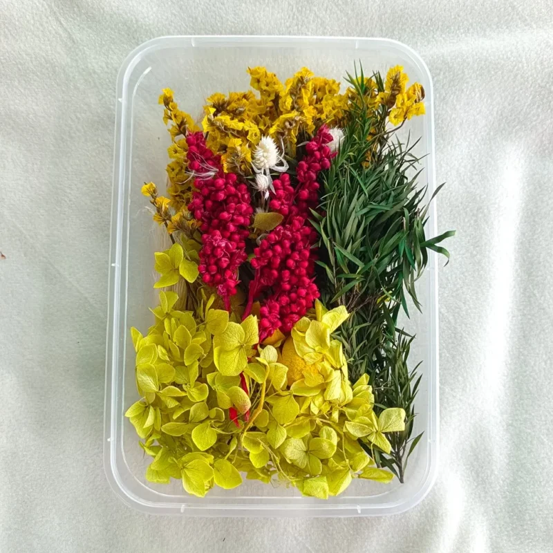 Light Green & Red Dried Flower Box for Resin Art & DIY Crafts
