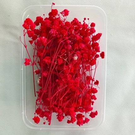 Red Gipsy Dry Flower Box for Resin Art