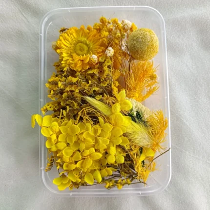 Yellow Dried Flower Box for Resin Art & DIY Crafts