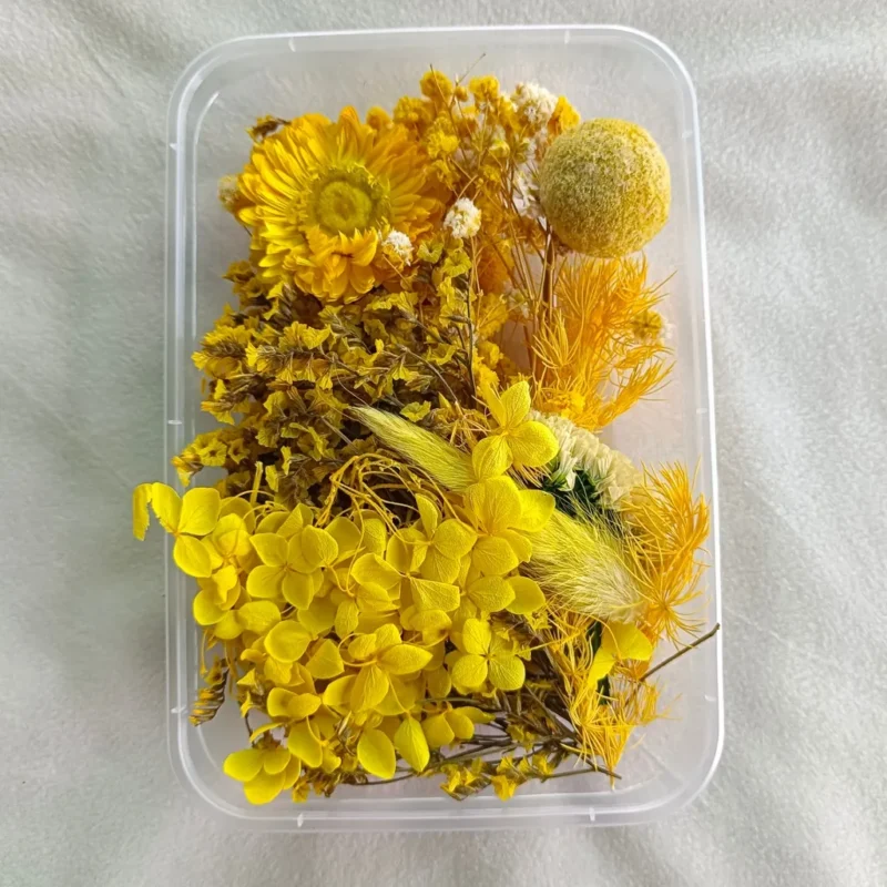 Yellow Dried Flower Box for Resin Art & DIY Crafts