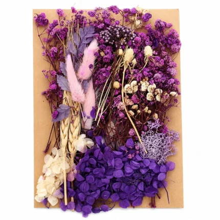 Purple Shade Dry Flower Packet for Resin Art