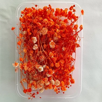 Orange Gipsy Dry Flower Box for Resin Art