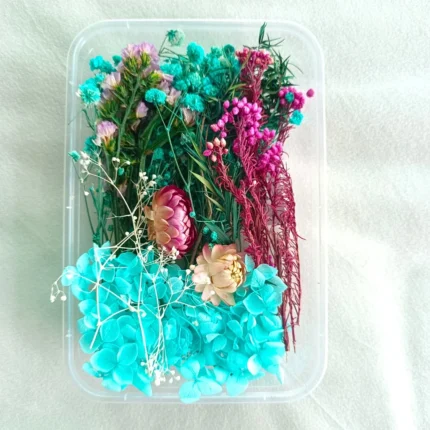 Turquoise Shade Dry Flower Box for Resin Art & DIY Crafts