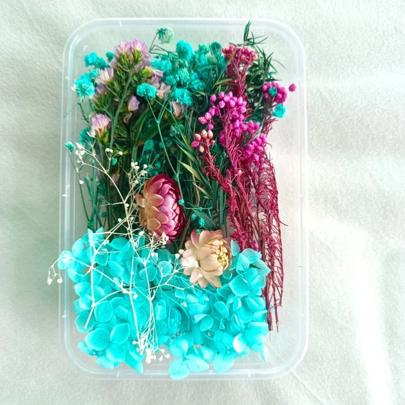 Turquoise Shade Dry Flower Box for Resin Art & DIY Crafts