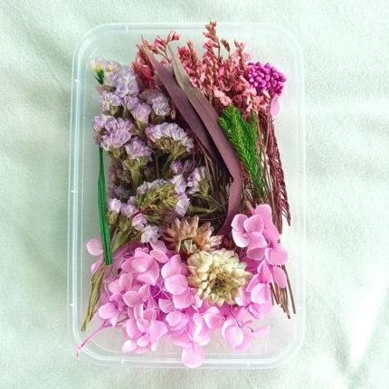 Pink Shade Dry Flower Box for Resin Art & DIY Crafts