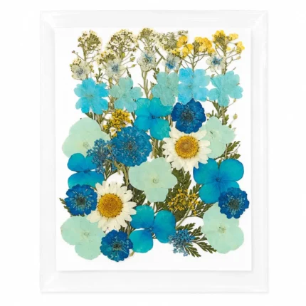 35-in-1 Sky Blue Premium Pressed Dried Flower Pack for Resin Art