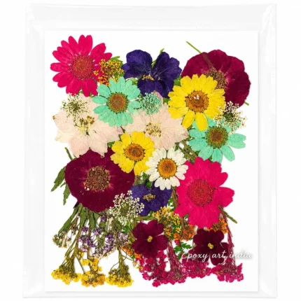 35-in-1 Premium Mixed Pressed Dried Flower Pack for Resin Art