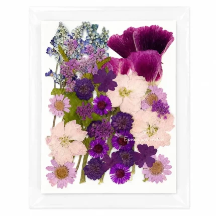 35-in-1 Purple & White Premium Pressed Dried Flower Pack for Resin Art