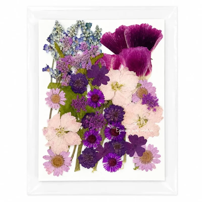 35-in-1 Purple & White Premium Pressed Dried Flower Pack for Resin Art
