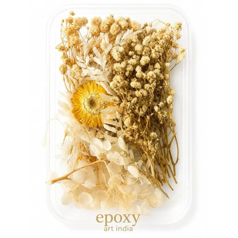 White Mix Dry Flower Box for Resin Art