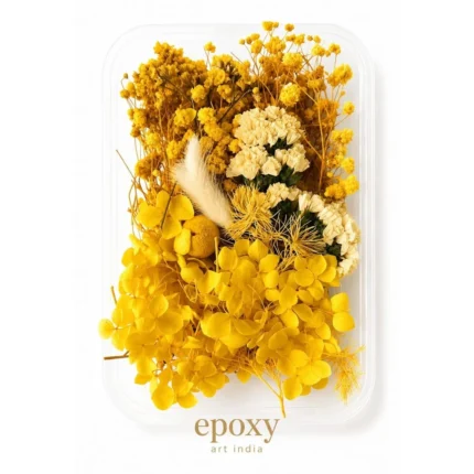Yellow Dry Flower Box for Resin Art