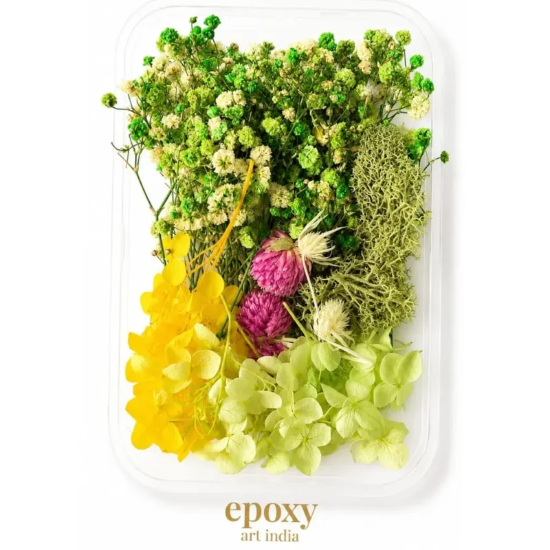 Green Mix Dry Flower Box for Resin Art