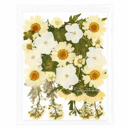 35-in-1 Premium White Pressed Dried Flower Pack for Resin Art