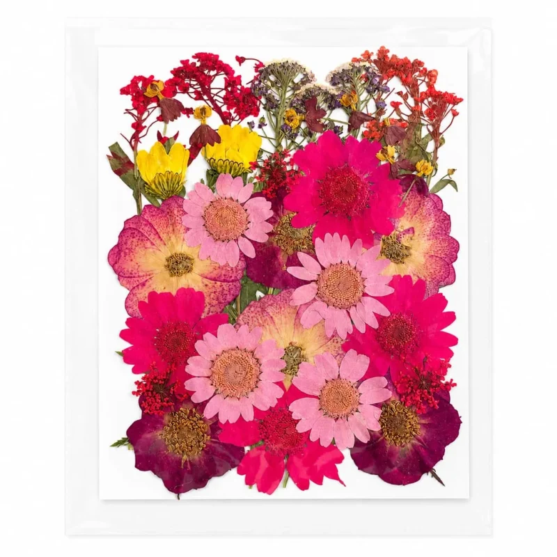 35-in-1 Red Premium Pressed Dried Flower Pack for Resin Art