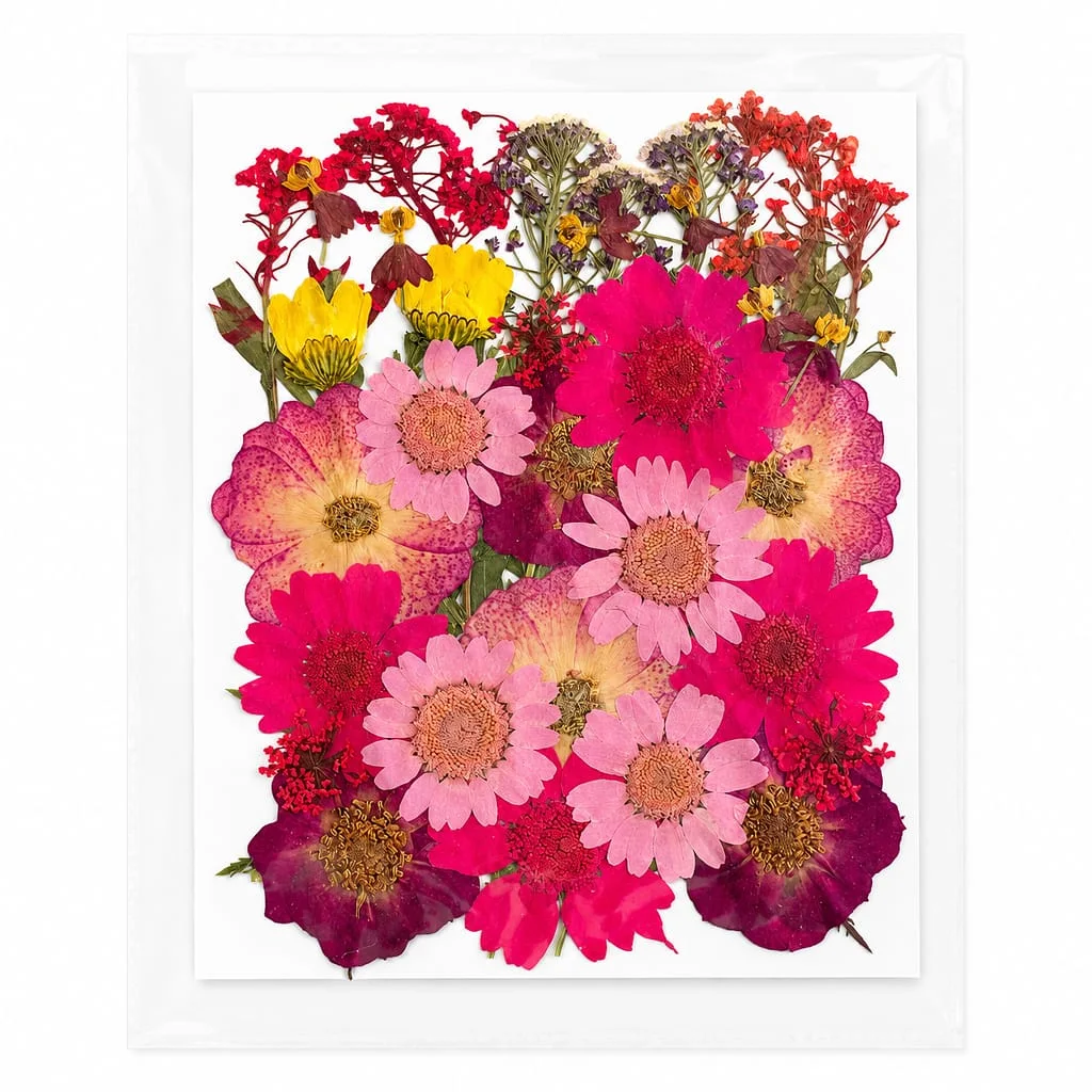 35-in-1 Red Premium Pressed Dried Flower Pack for Resin Art 35-in-1 Red Premium Pressed Dried Flower Pack for Resin Art