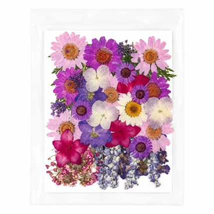 35-in-1 Purple Premium Pressed Dried Flower Pack for Resin Art
