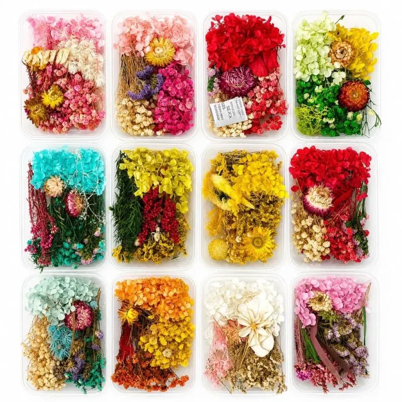 Mix Dry Flower Box for Resin Art