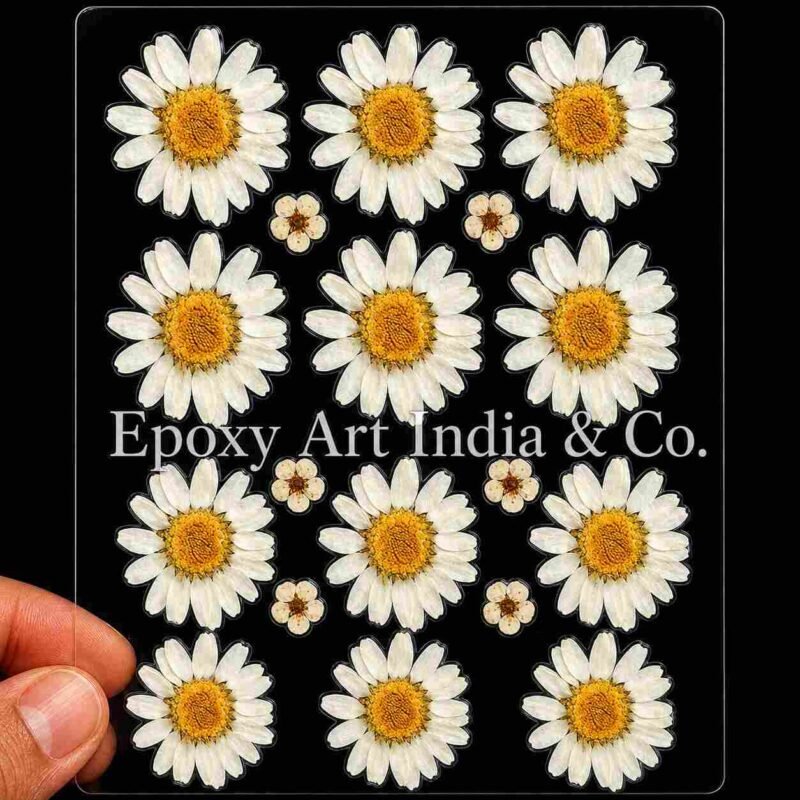 White Daisy UV DTF Sticker for Resin Art (5054)