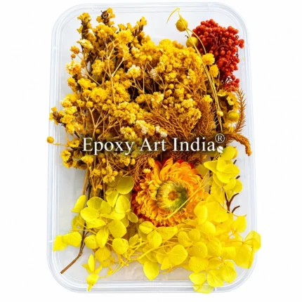 Yellow Mix Dry Flower Box for Resin Art