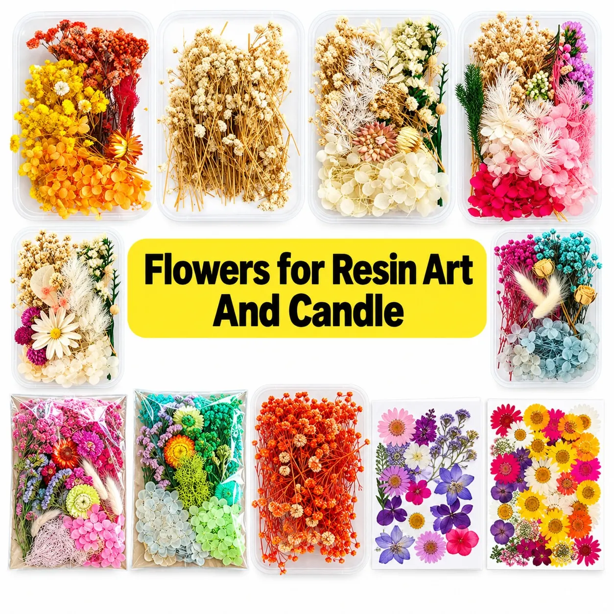 Dried Flower For Resin Art