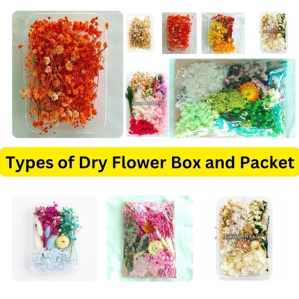Types of dry flower box and packets